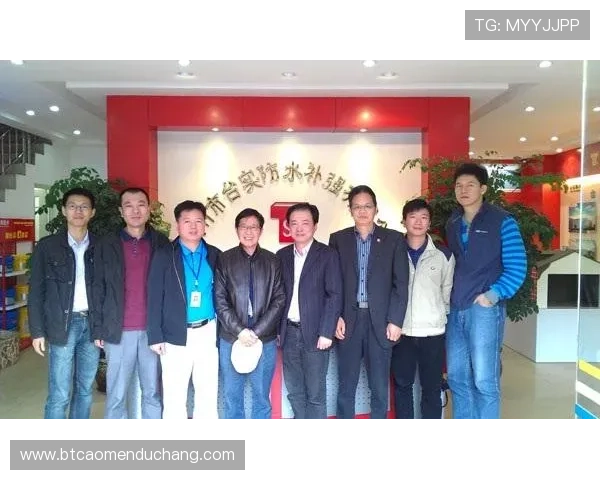 新濠博亚企查查：深入分析企业历史沿革与发展战略的专业平台