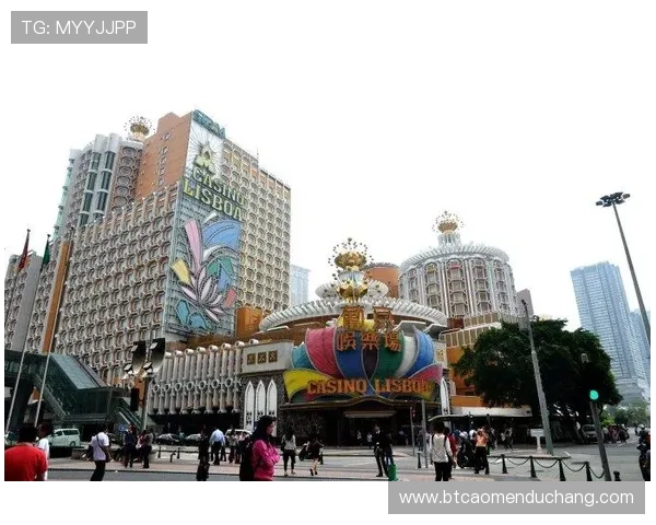 澳门赌场牌照的申请条件与审批流程全面解析，助你顺利取得合法经营资格