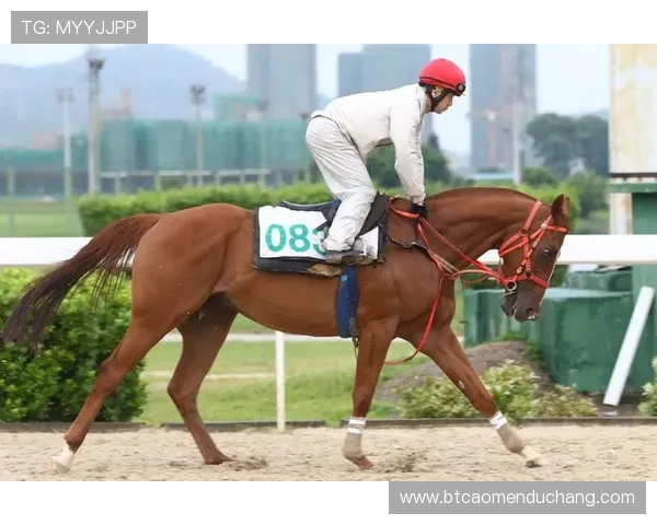澳门赛马赛事精彩瞬间回顾，感受澳门赛马带来的激动与震撼
