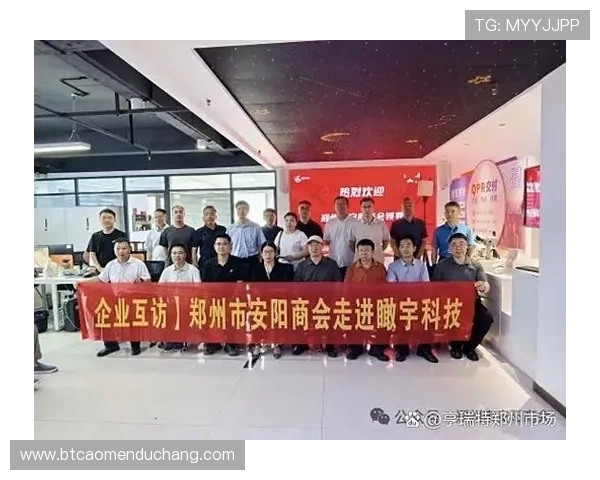 新濠集团资本运作及上市后市场表现的详尽分析