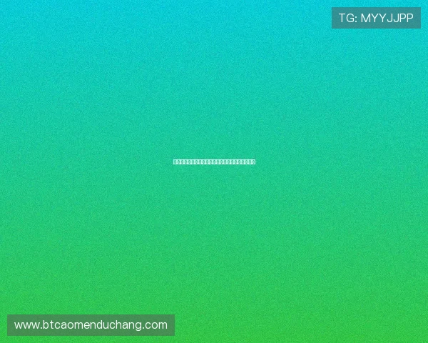 永乐高集团官网最新产品信息及促销活动全攻略分享