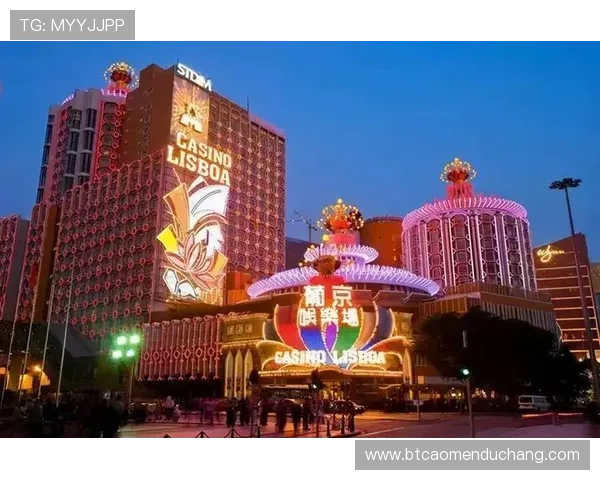 沉浸澳门娱乐体验：感受繁华夜市与多样化的娱乐活动丰富人生体验