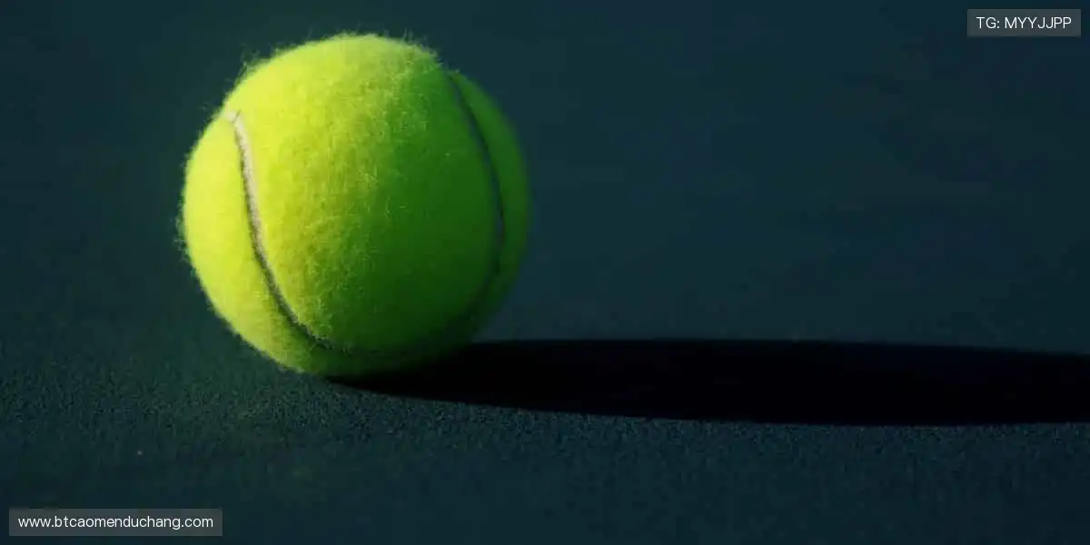 高清多品类盛宴：手机麻将真人扑克，升级娱乐中